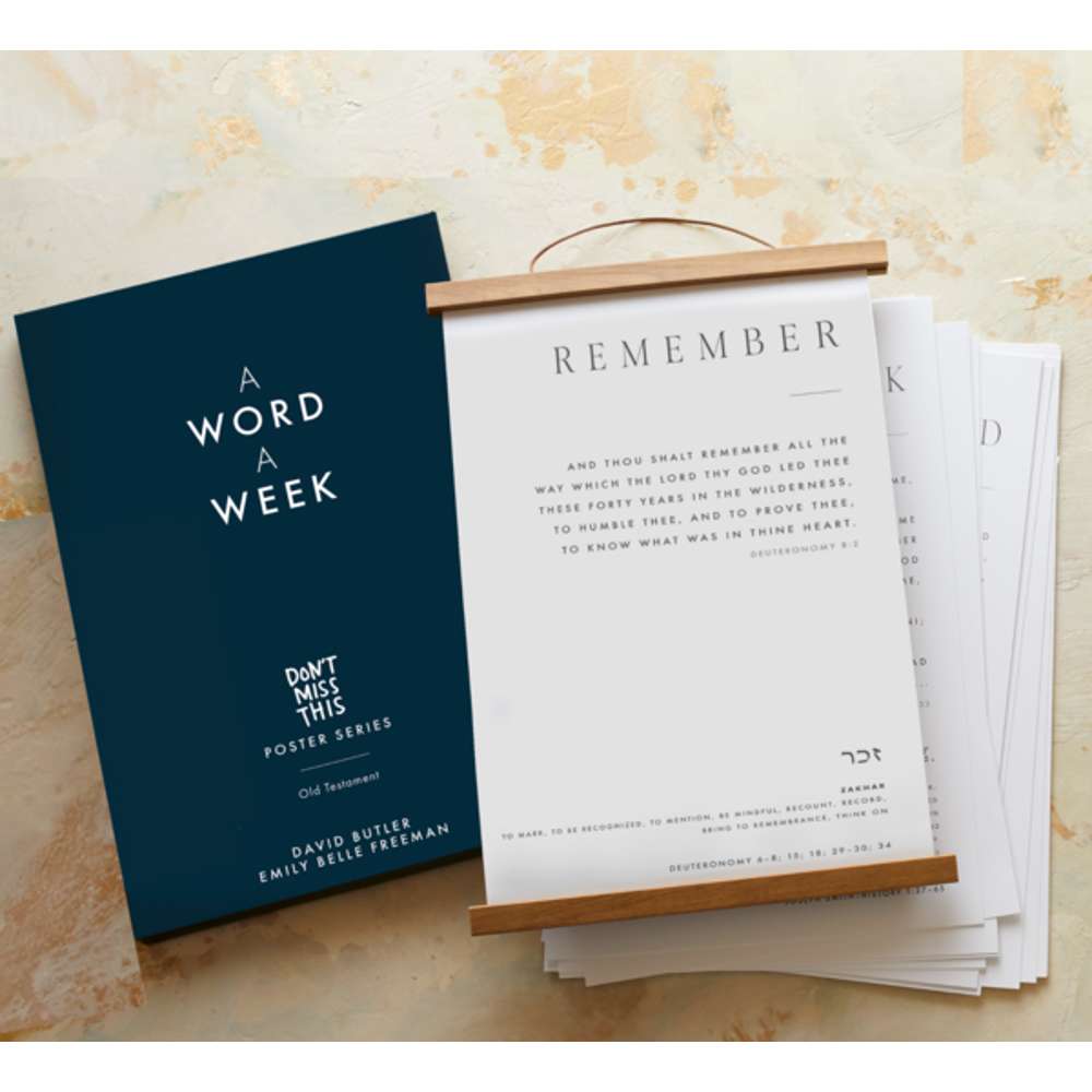 Don't Miss This in the Old Testament Poster Set - FREEMAN, EMILY BELLE; BUTLER, DAVID 1