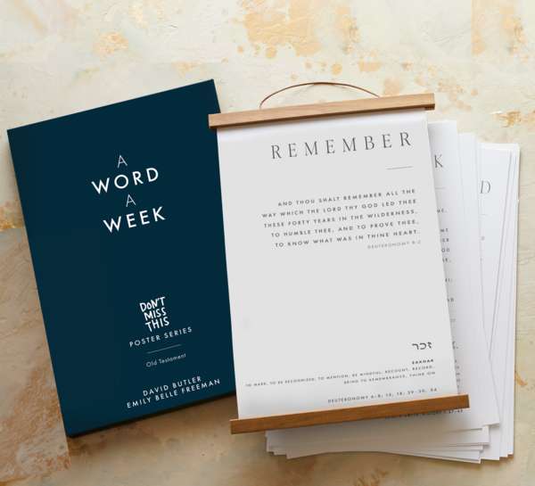 Don't Miss This in the Old Testament Poster Set