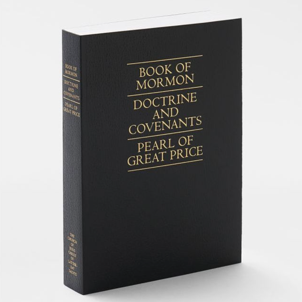 DSD ECONOMY TRIPLE REG BLACK SOFTCOVER UNINDEXED 2013 C28, , large image number 0