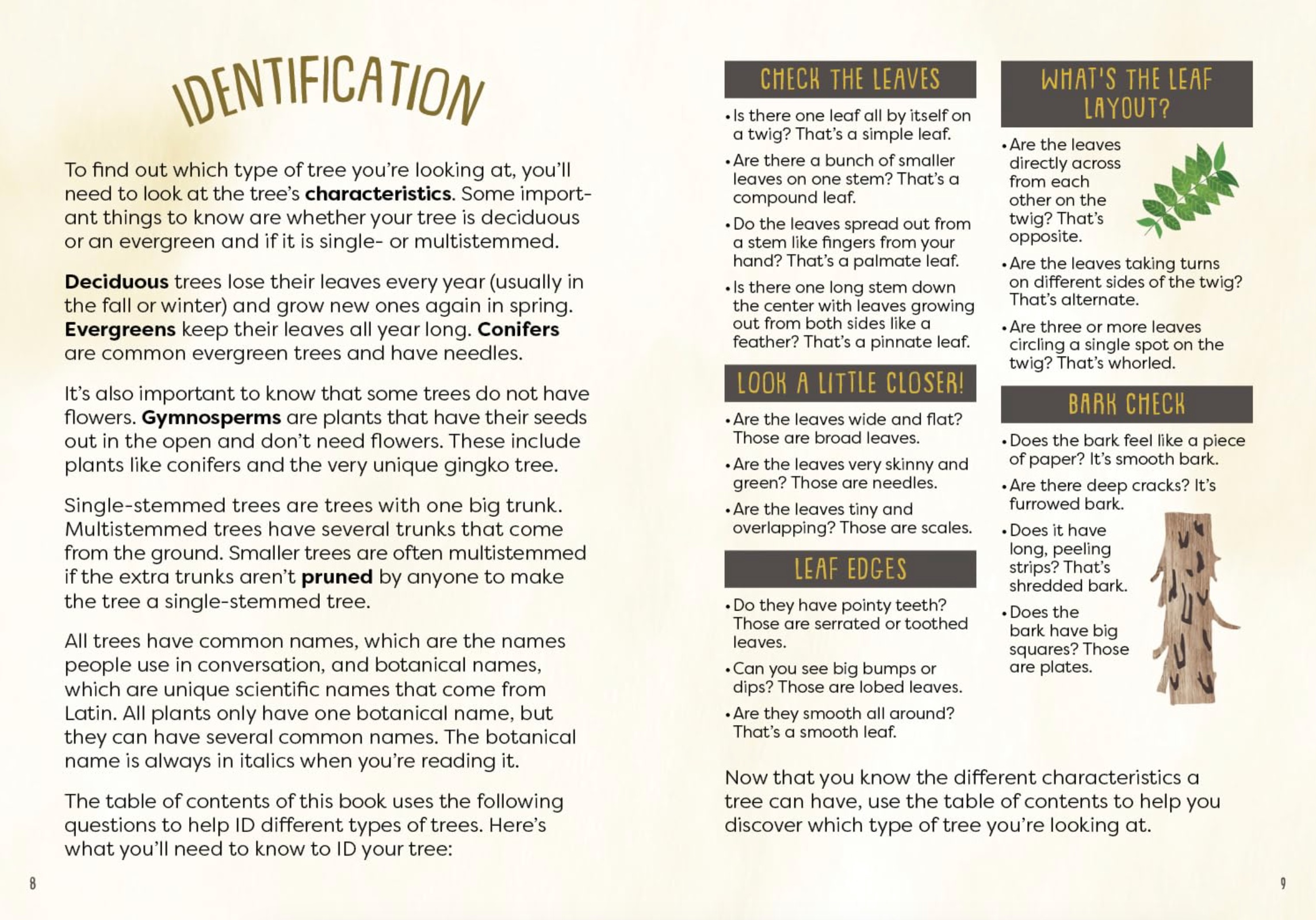 A Kid's Guide to Backyard Trees, , large