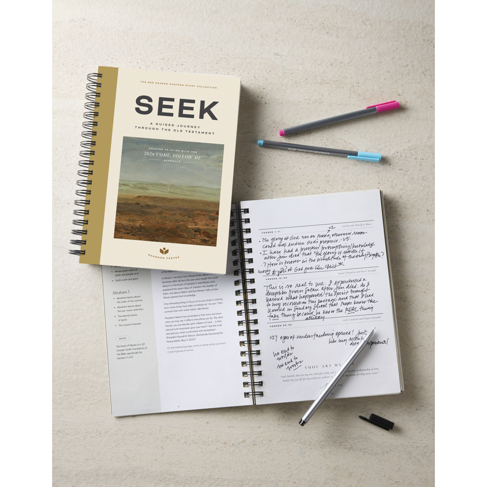 Seek: A Guided Journey Through the Old Testament, , large image number 9