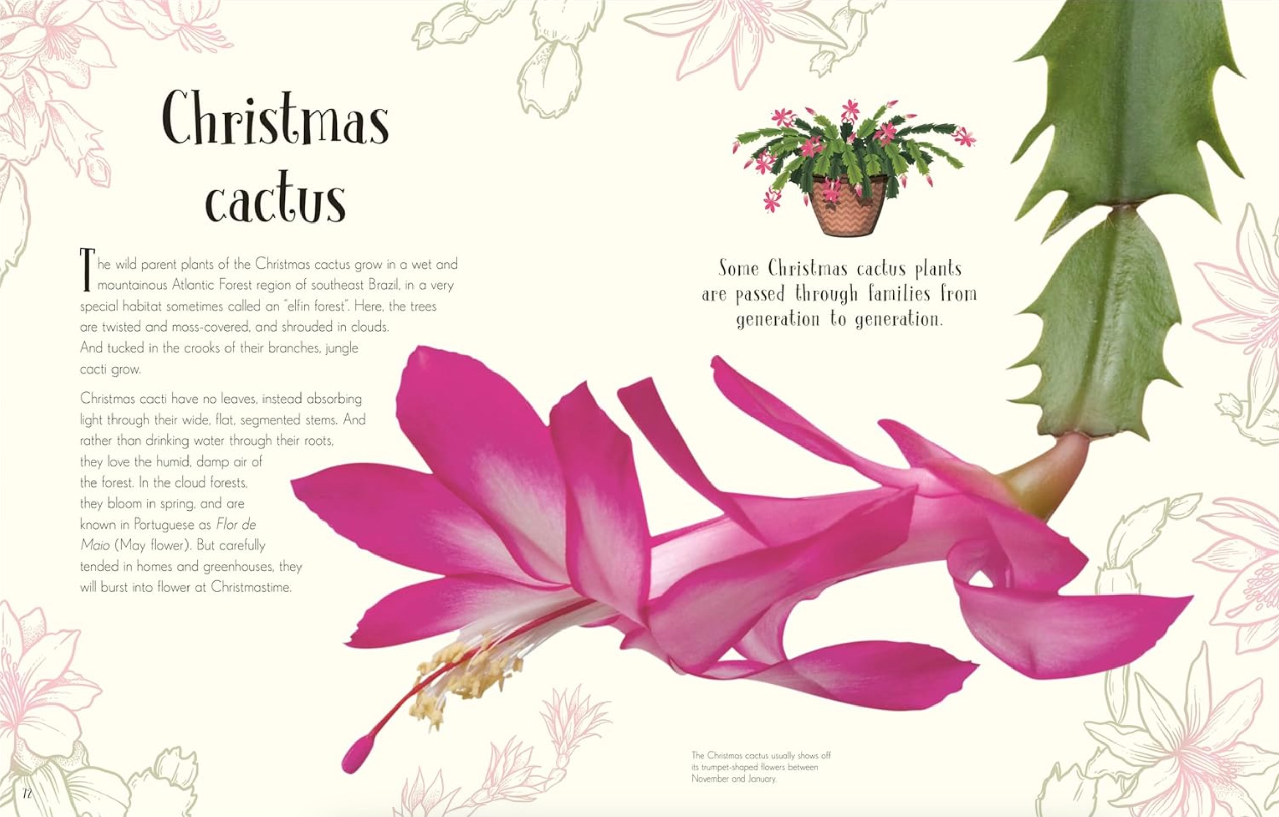 An Anthology of Christmas, , large