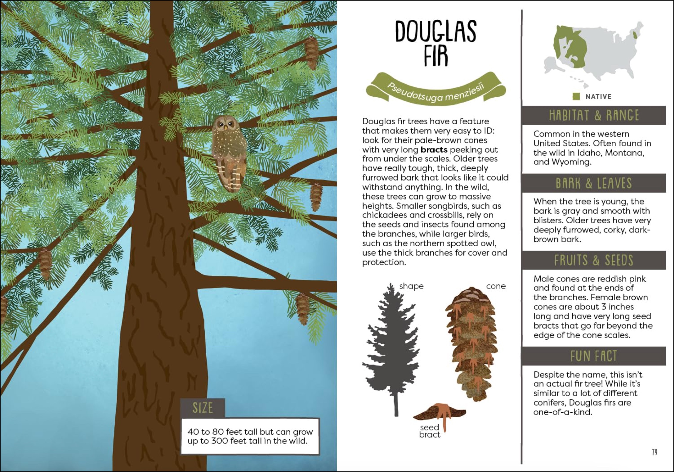 A Kid's Guide to Backyard Trees, , large image number 3