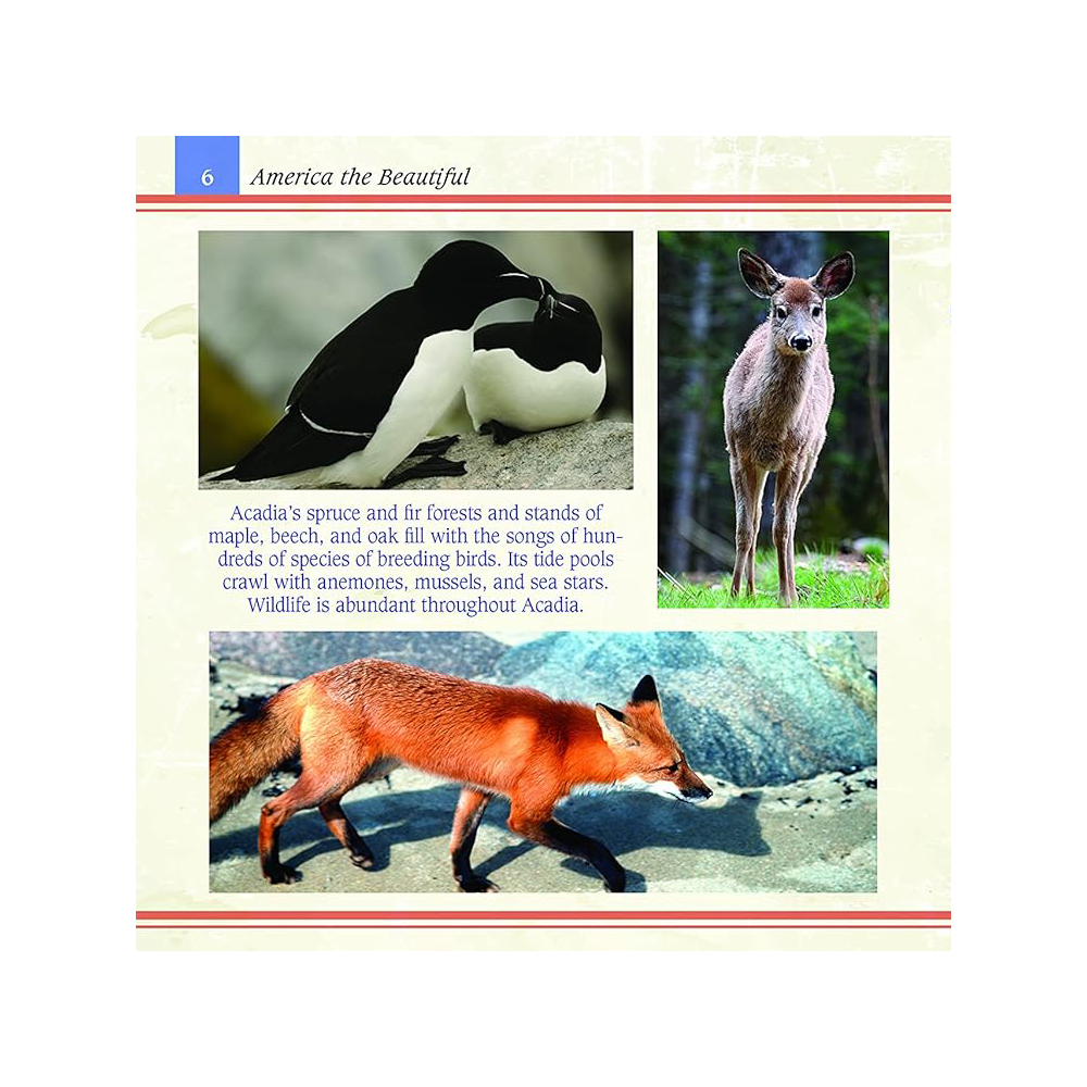 America the Beautiful, , large image number 4