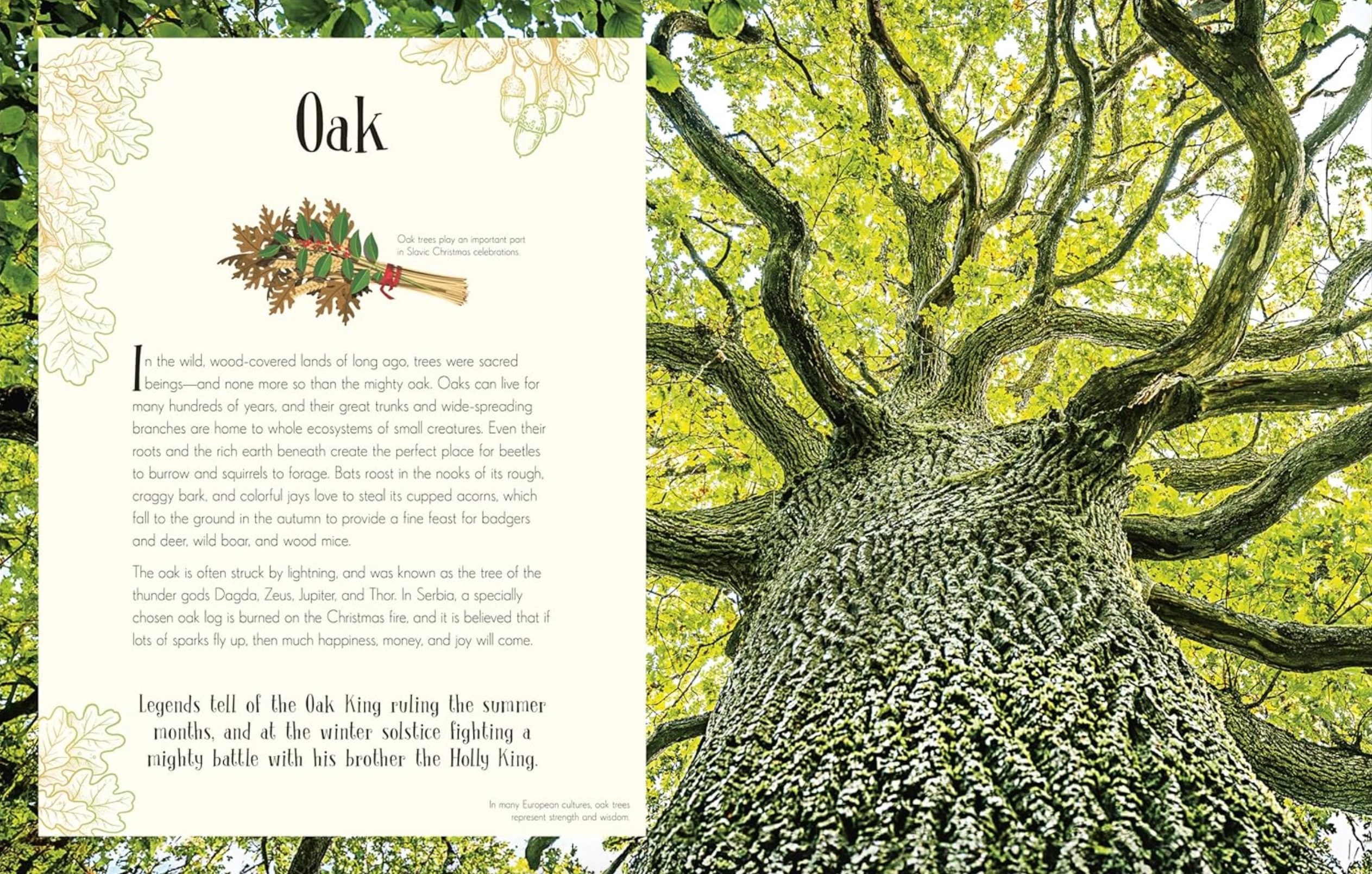 An Anthology of Christmas, , large image number 2