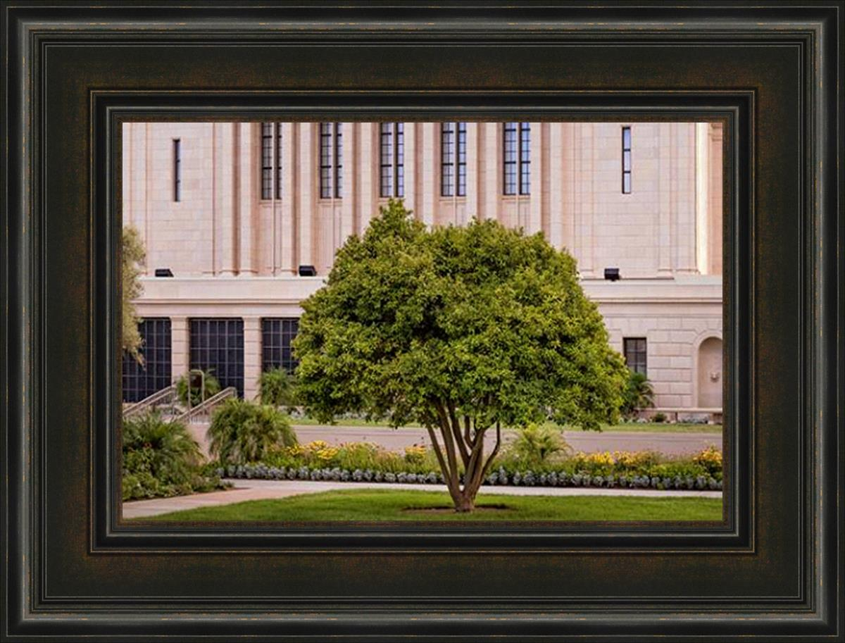 Mesa Temple Peace Be Still (22x29 Framed Art)