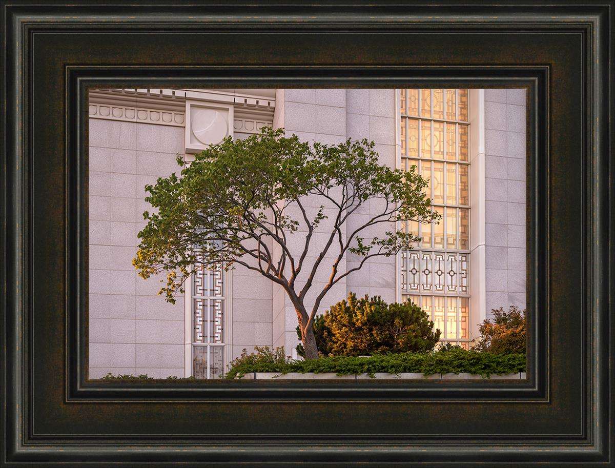 Bountiful Temple Peace Be Still (22x29 Framed Art)