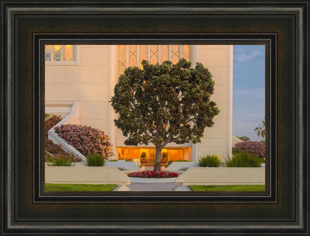 San Diego Temple Peace Be Still (22x29 Framed Art)