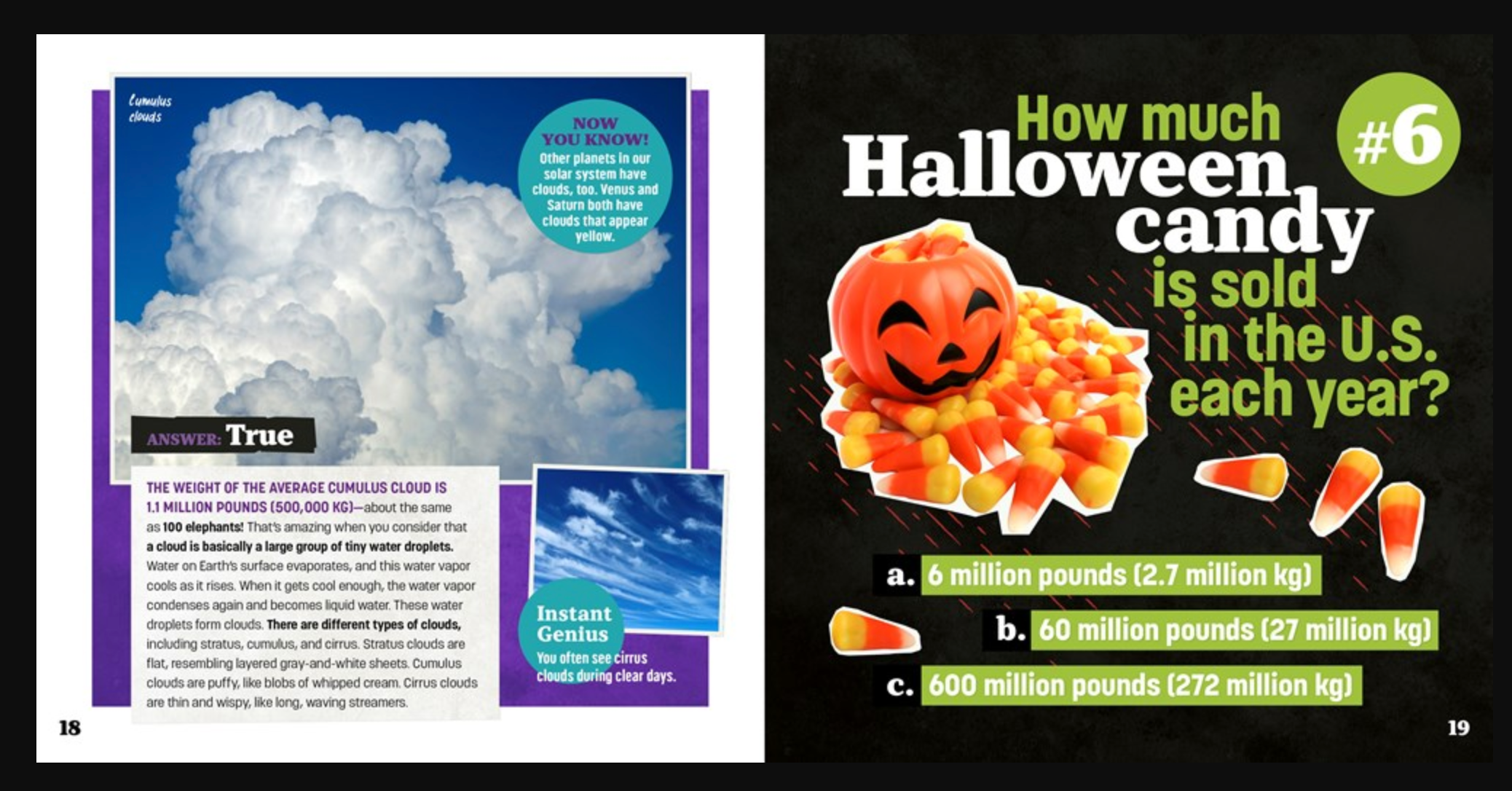 Totally Random Questions Volume 1, , large