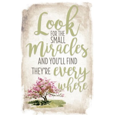 Look For the Miracles (6x9 Plaque)