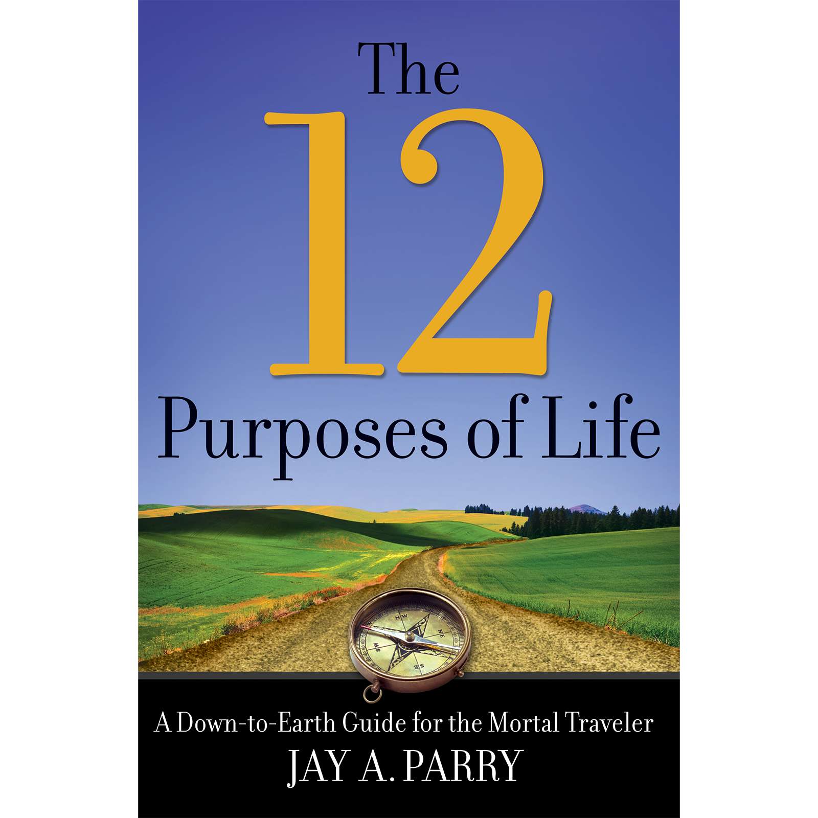 The 12 Purposes of Life, , large image number 0