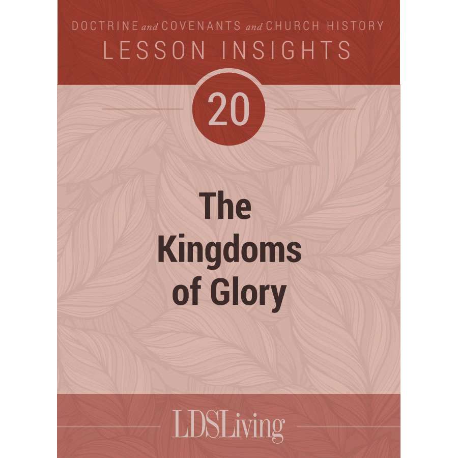 Lesson Insights Doctrine and Covenants and Church History #20