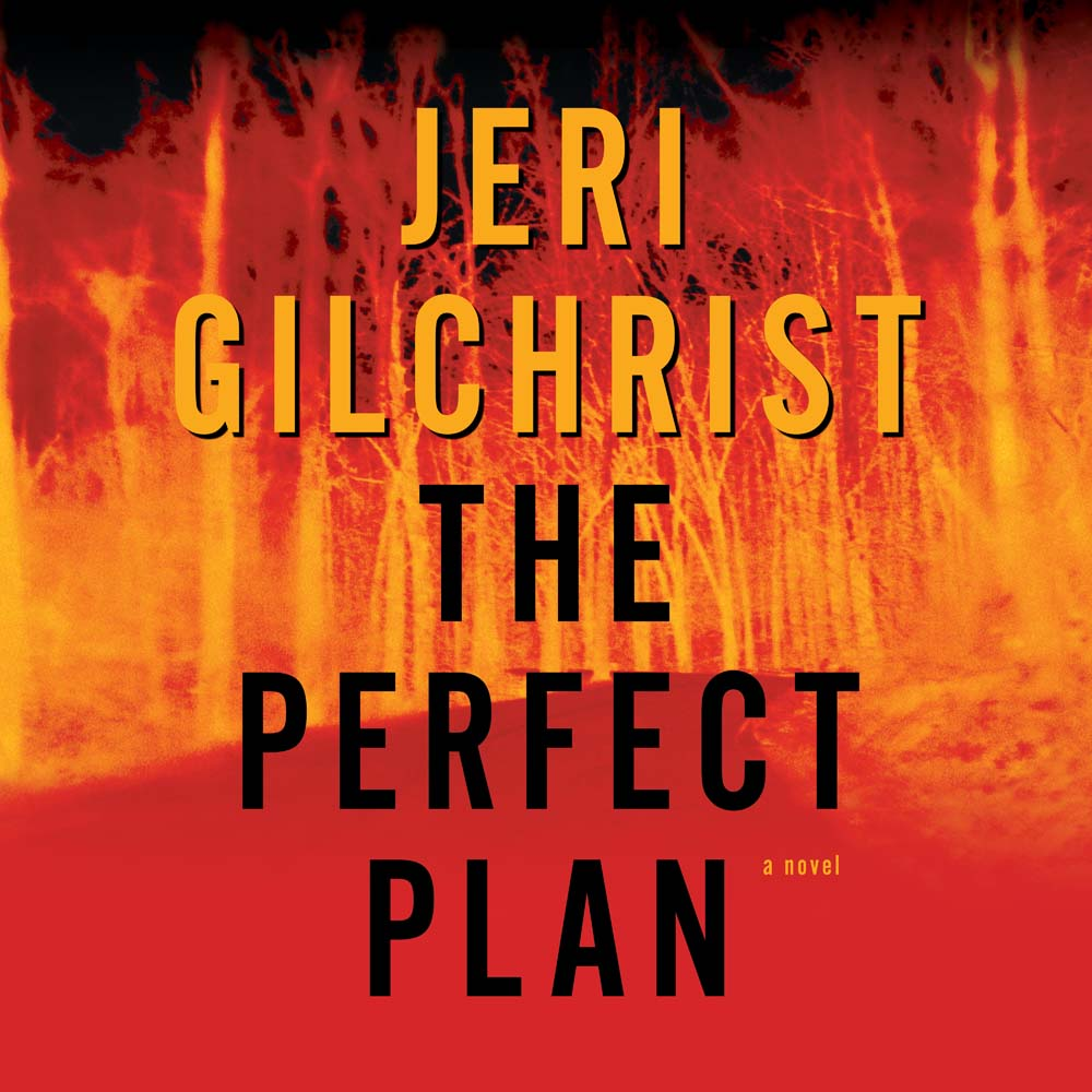 The Perfect Plan, , large