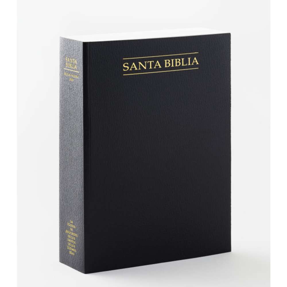 Spanish Holy Bible, Economy Softcover, Regular, Unindexed