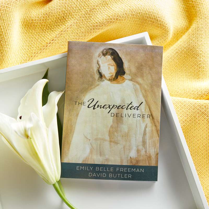 The Unexpected Deliverer, , large image number 3