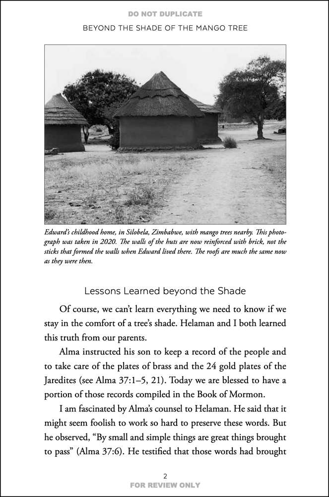 Beyond the Shade of the Mango Tree, , large image number 4