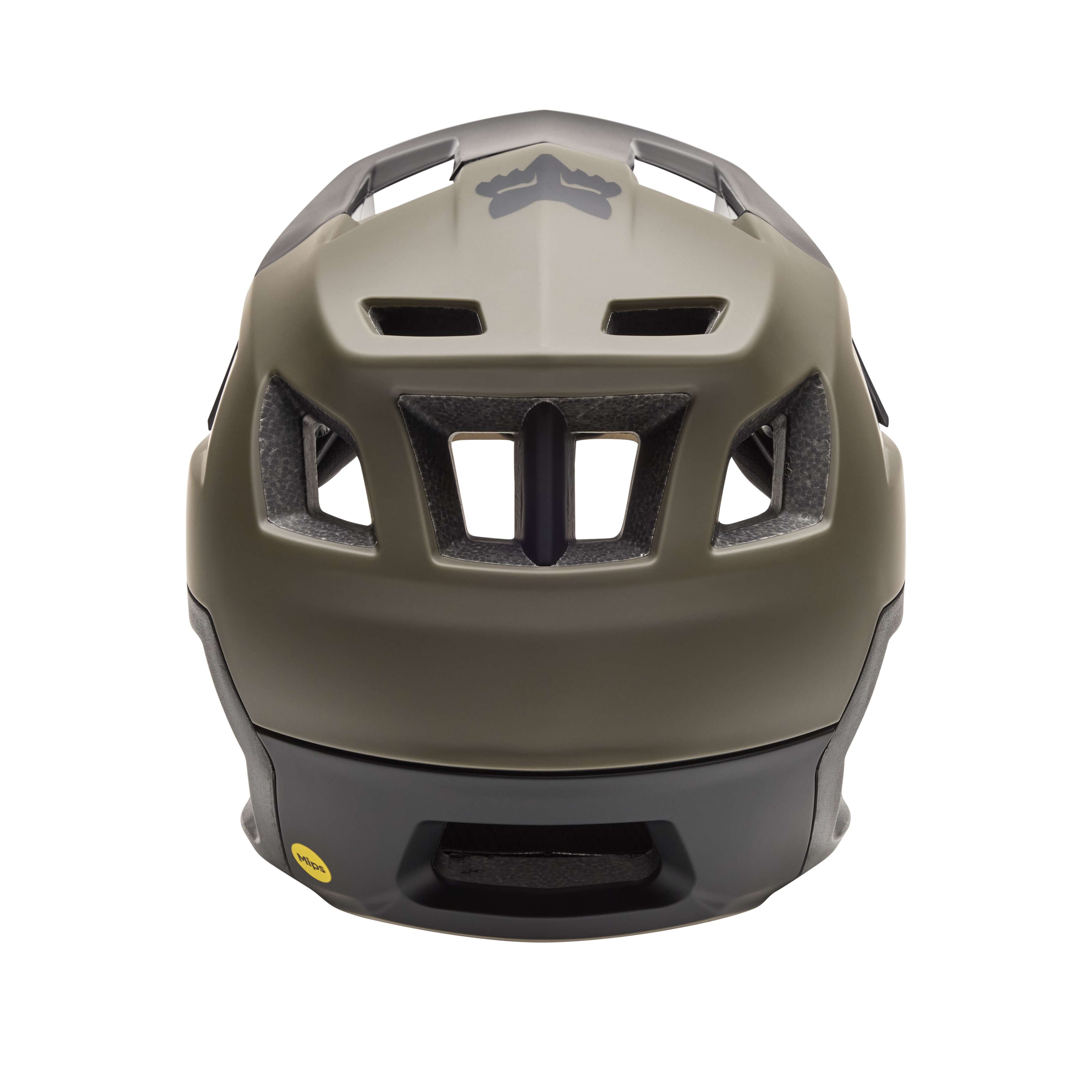 Fox Racing Dropframe AS Helmet