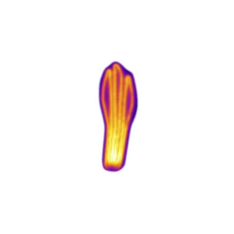 Add Heat Unisex Heated Insoles