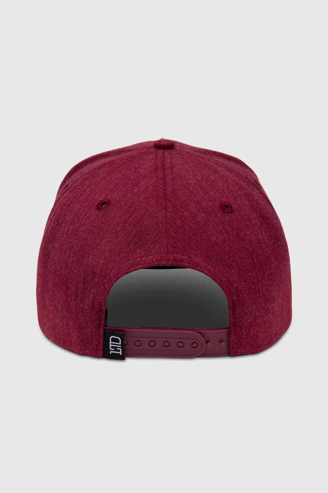 TEAMLTD Logo Curved Brim Snapback