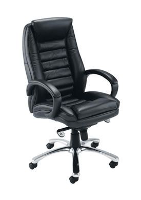 Lucca executive hotsell leather office chairs