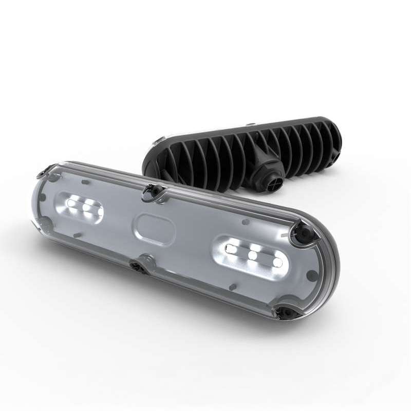Capsule